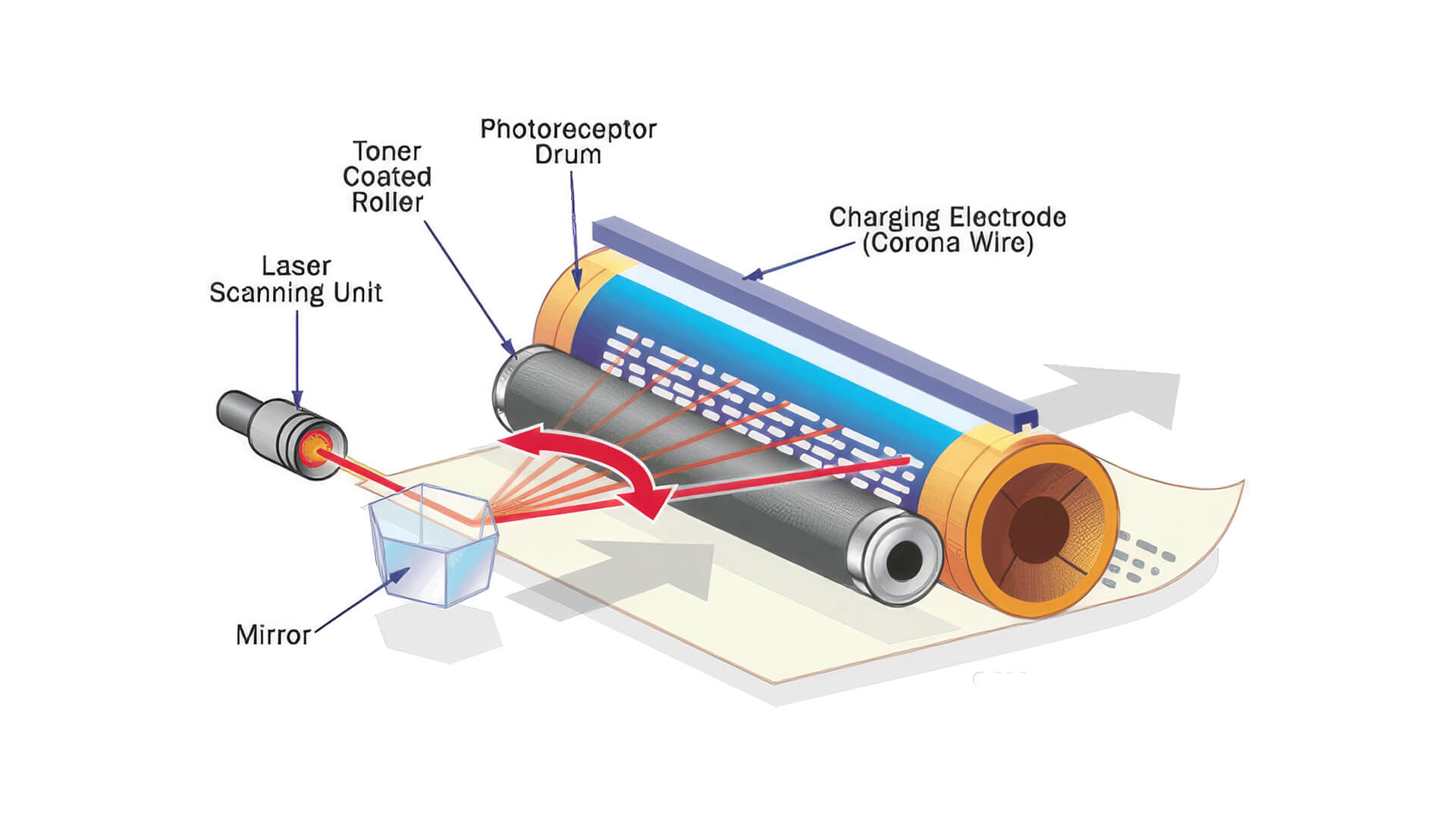 Diagram showing how a laser printer works with drum and toner.